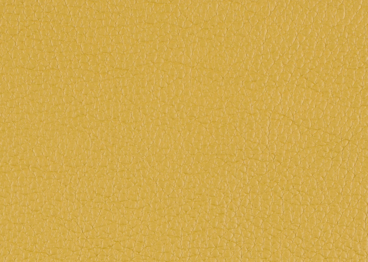 2-SITZER-SOFA  in Hochflor Echtleder Creme, Currygelb  - Currygelb/Creme, Design, Leder/Holz (240/65/104cm) - Koinor