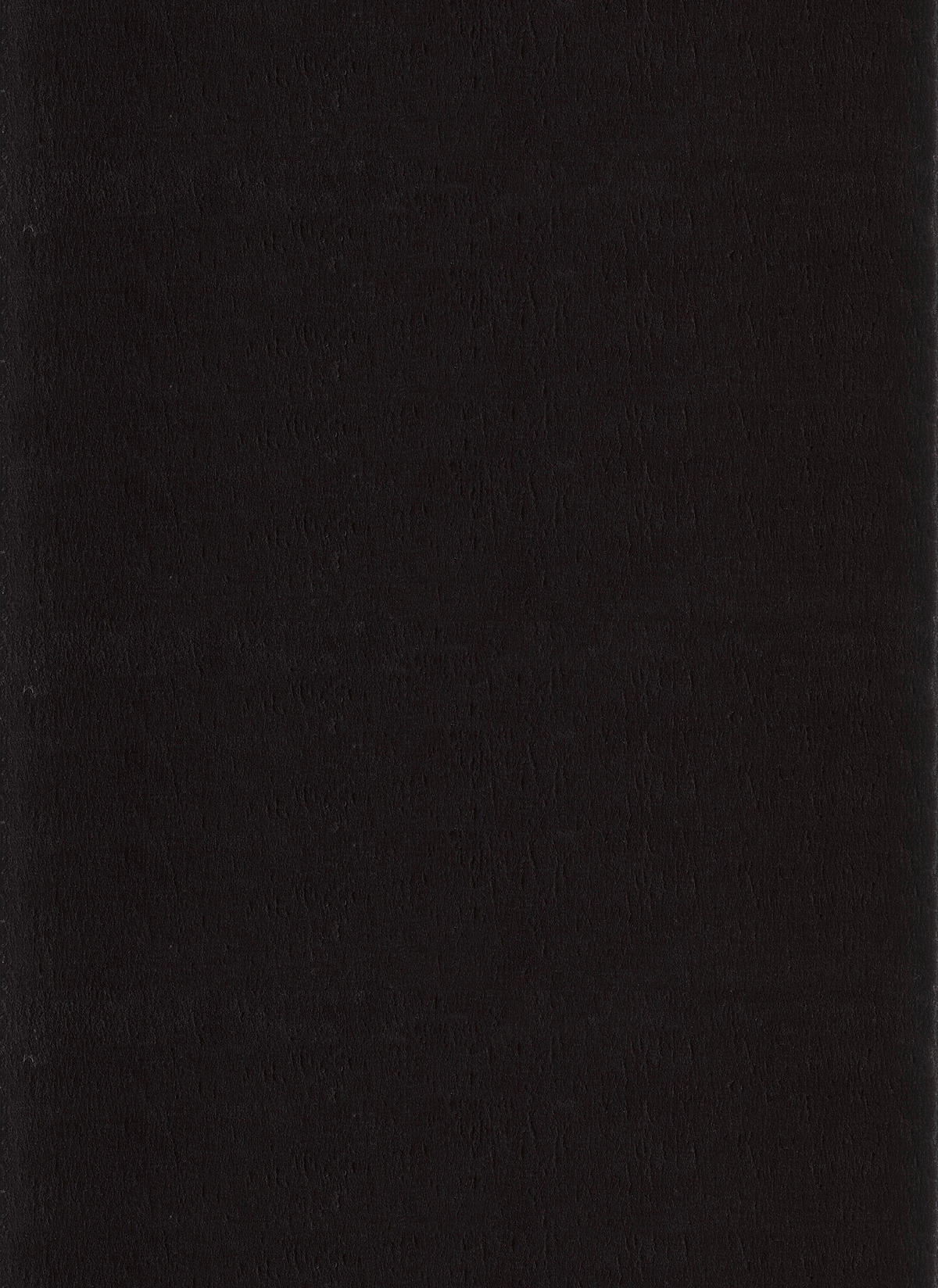 HOCHFLORTEPPICH 120/160 cm Catwalk Schwarz  - Schwarz, Basics, Textil (120/160cm) - Novel