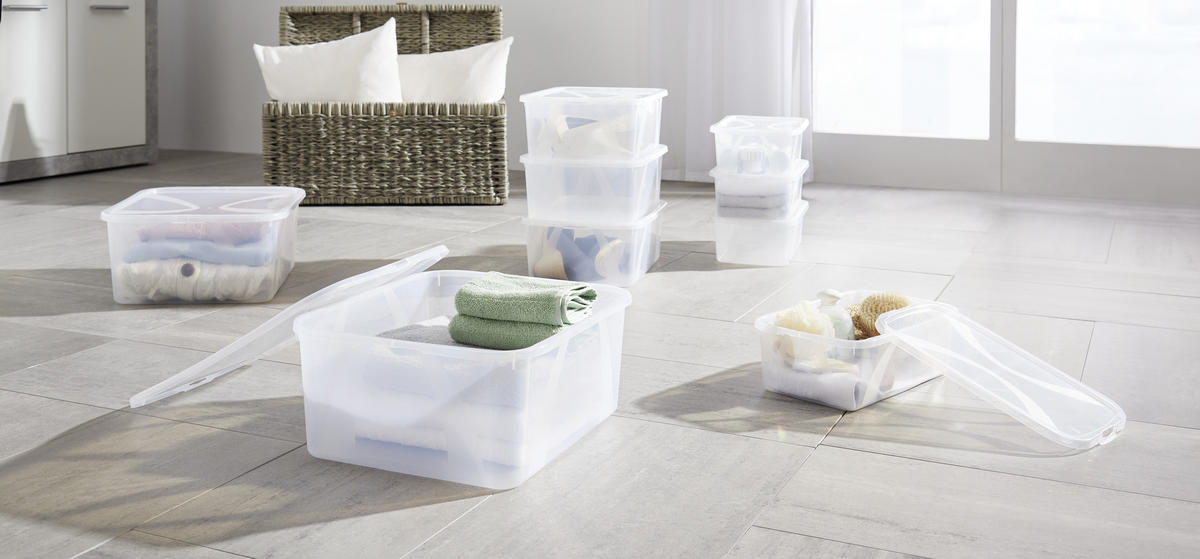 BOX MIT DECKEL 36,3/26,6/13,4 cm  - Transparent, Basics, Kunststoff (36,3/26,6/13,4cm) - Rotho