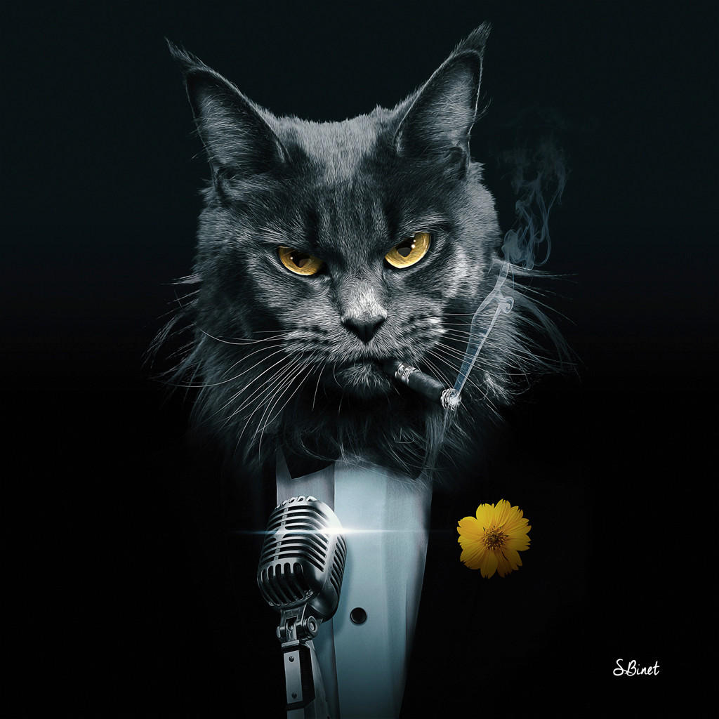 LEINWANDBILD Tiere, Musik 100/100/4 cm  - Multicolor, Basics, Textil (100/100/4cm)