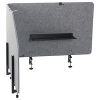 TRENNWAND  in Grau  - Grau, Basics, Kunststoff/Textil (160/50/1cm) - MID.YOU