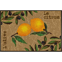 DVEŘNÍ ROHOŽKA, 50/75 cm - zelená/žlutá, Konvenční, textil/plast (50/75cm) - Esposa