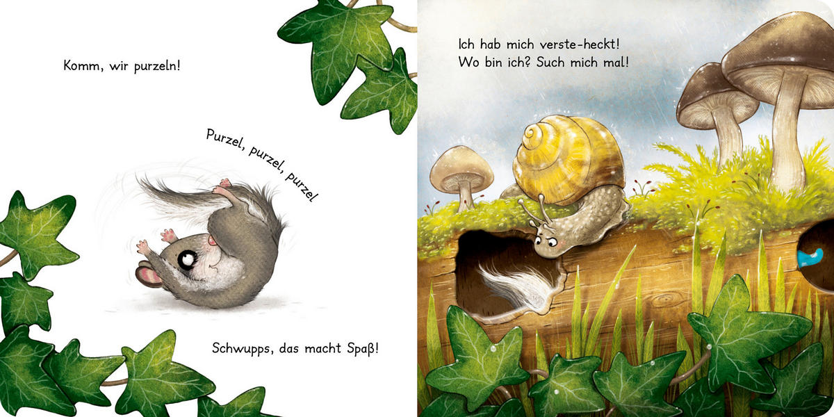 BUCH  - Multicolor, Basics, Papier (17,00/17,00/2cm) - Carlsen