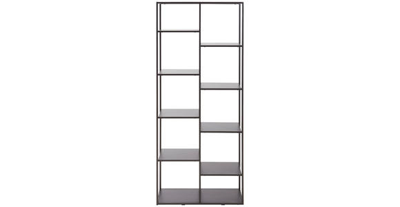REGAL Schwarz - Schwarz, Trend, Kunststoff/Metall (80/188/30cm) - Carryhome