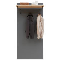 GARDEROBNI PANEL - siva/barve hrasta, Design, leseni material/les (80/170/27cm) - Dieter Knoll