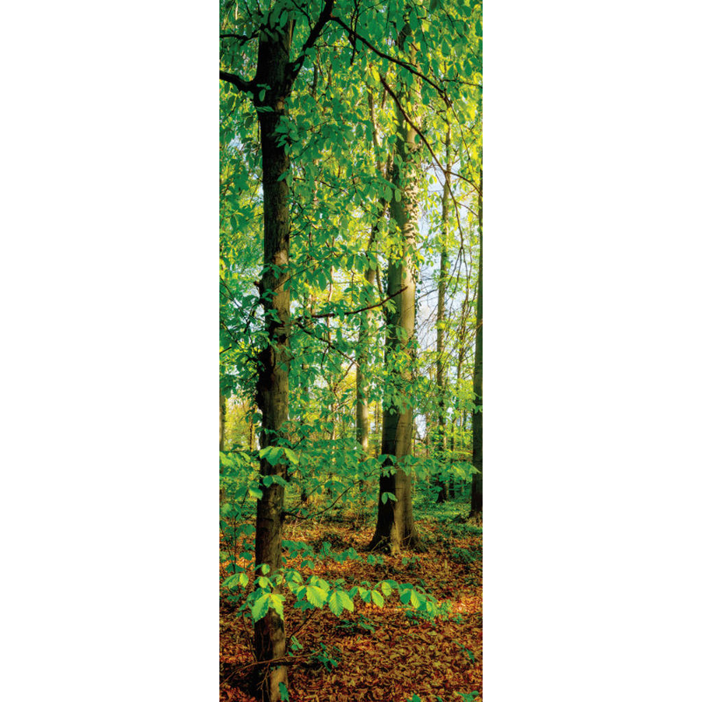 Euroart OBRAZ NA PLÁTNĚ, stromy, 30/80/3 cm - vícebarevná - borovice