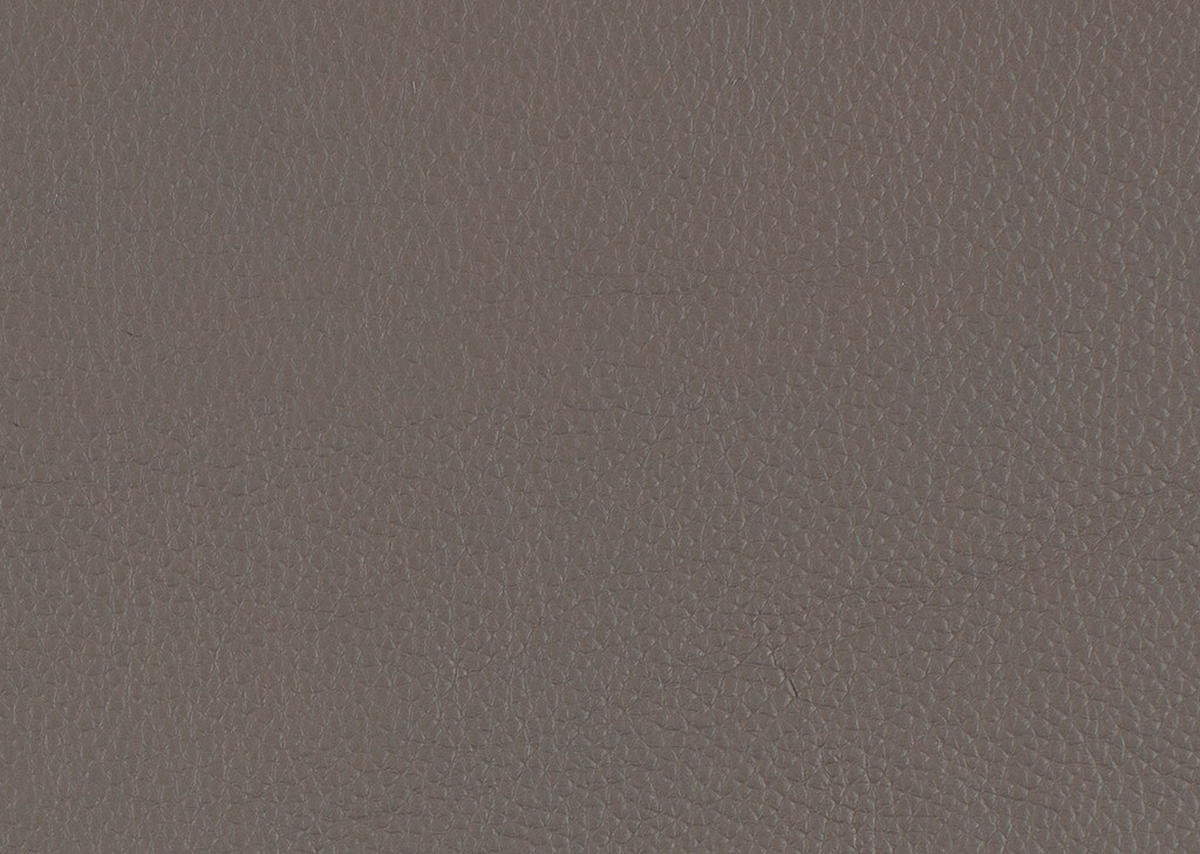 RELAXLIEGE in Echtleder Graubraun  - Graubraun/Schwarz, Design, Leder/Metall (120/54-113/158-198cm) - Pure Home Lifestyle