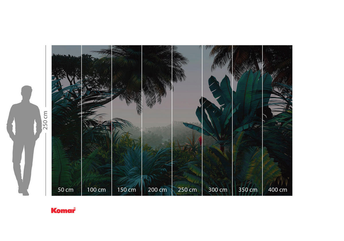 VLIESTAPETE 2,5 m  - Multicolor, Basics (400/250cm) - Xora