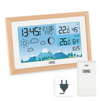 FUNKWETTERSTATION Naturfarben  - Naturfarben, Basics, Holzwerkstoff (14,7/9,8/2,6cm)