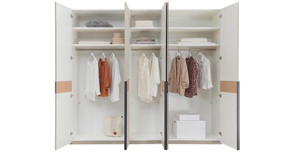 DREHTÜRENSCHRANK  in Taupe, Eichefarben  - Taupe/Eichefarben, Design, Holz/Holzwerkstoff (249,6/229,4/59,5cm) - Dieter Knoll