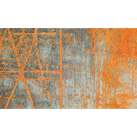 COVORAȘ DE INTRARE 70/120 cm  - portocaliu/gri, Konventionell, plastic/textil (70/120cm) - wash+dry