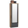 GARDEROBENSCHRANK  in 64/187/31 cm  - Eiche Bianco/Anthrazit, Design, Glas/Holzwerkstoff (64/187/31cm) - Dieter Knoll