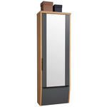 GARDEROBENSCHRANK  in 64/187/31 cm  - Eiche Bianco/Anthrazit, Design, Glas/Holzwerkstoff (64/187/31cm) - Dieter Knoll