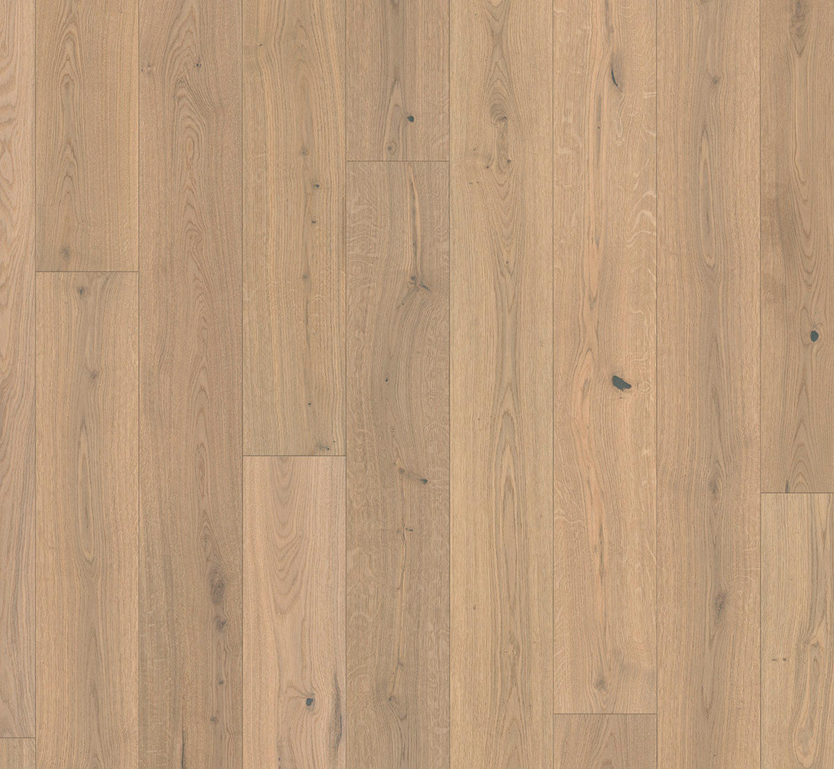PARKETTBODEN Parkett Classic 3060 Living  per  m² - Eichefarben, Basics, Holz (220/18.5/1.3cm) - Parador