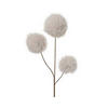 DEKOZWEIG - Creme/Braun, LIFESTYLE, Kunststoff/Fell (12,00/12,00/70,00cm)