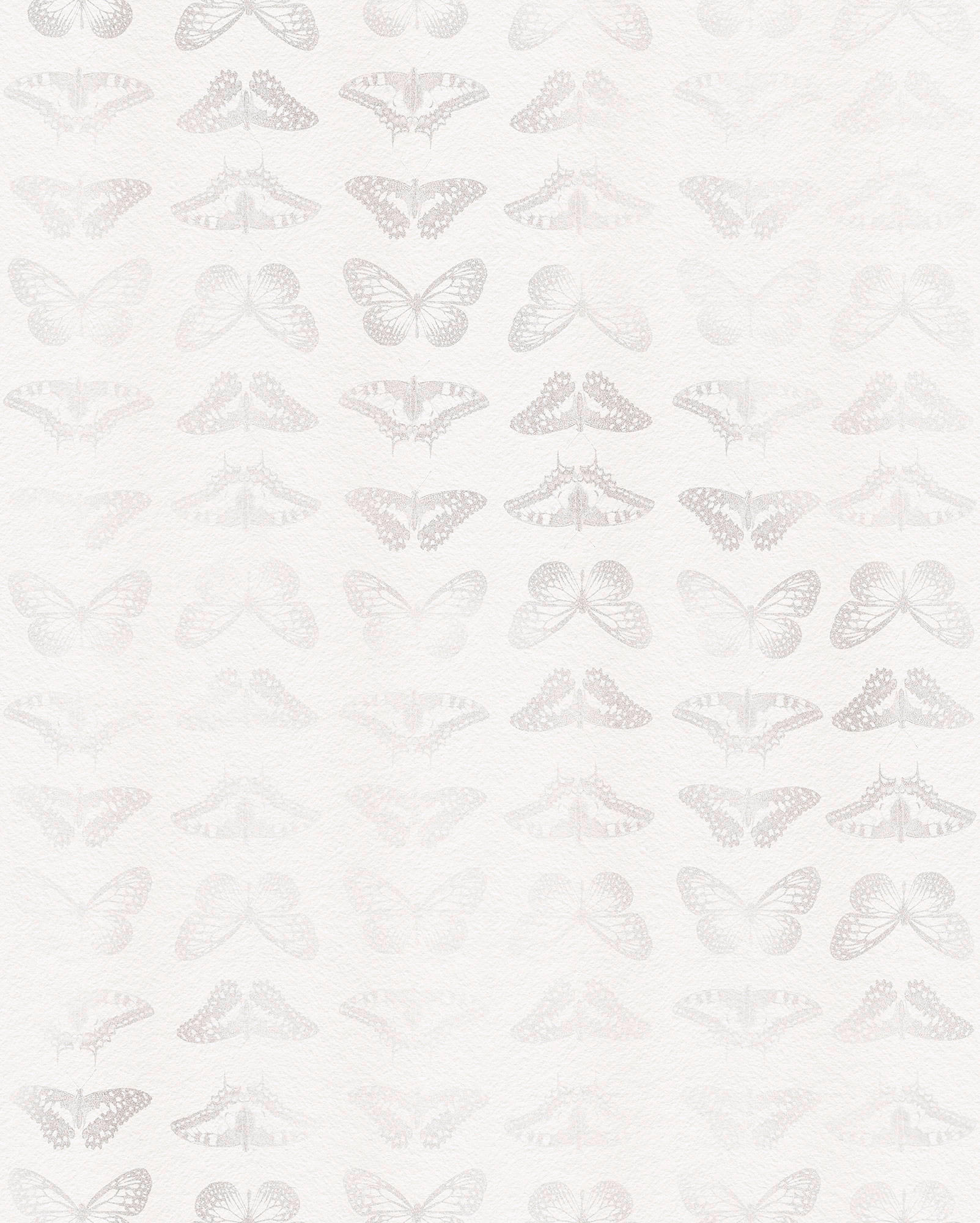 VLIESTAPETE  - Weiß, Basics (200/250cm) - Xora