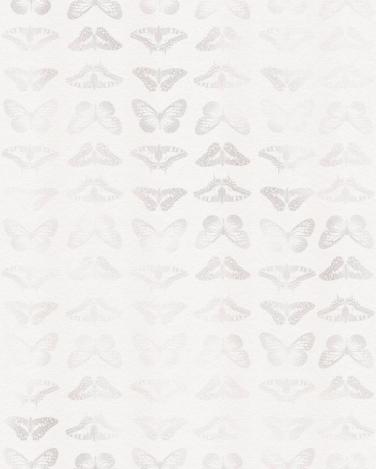 VLIESTAPETE  - Weiß, Basics (200/250cm) - Xora