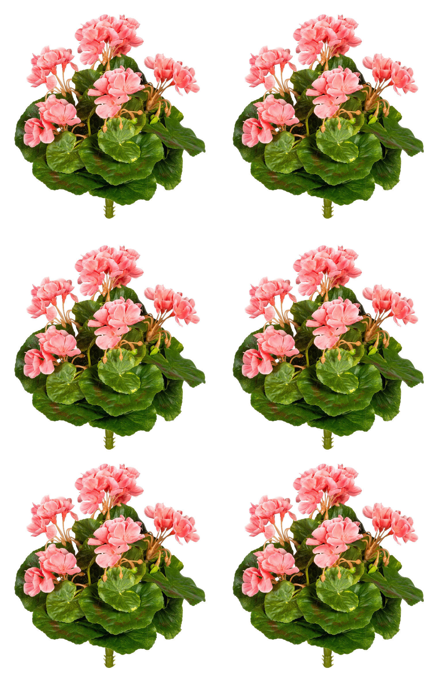 KUNSTPFLANZE Geranie 24 cm - Rosa/Grün, Design, Kunststoff (24cm) - P & B