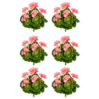 KUNSTPFLANZE Geranie 24 cm  - Rosa/Grün, Design, Kunststoff (24cm) - P & B