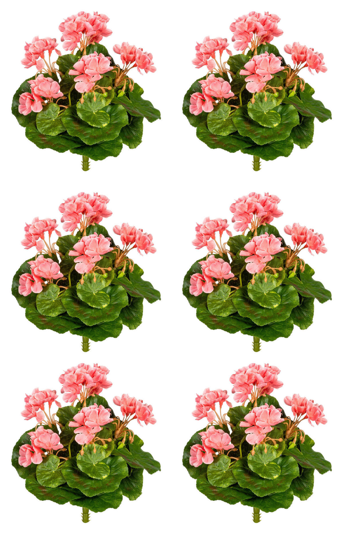 KUNSTPFLANZE Geranie 24 cm  - Rosa/Grün, Design, Kunststoff (24cm) - P & B