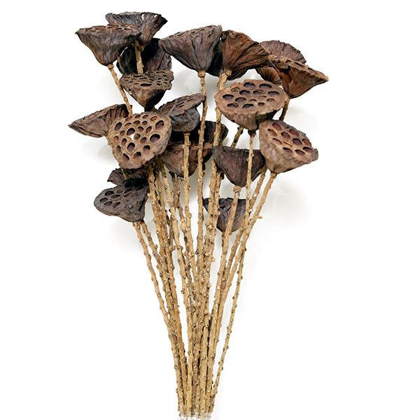 KONSTBLOMMA - Design (60cm)