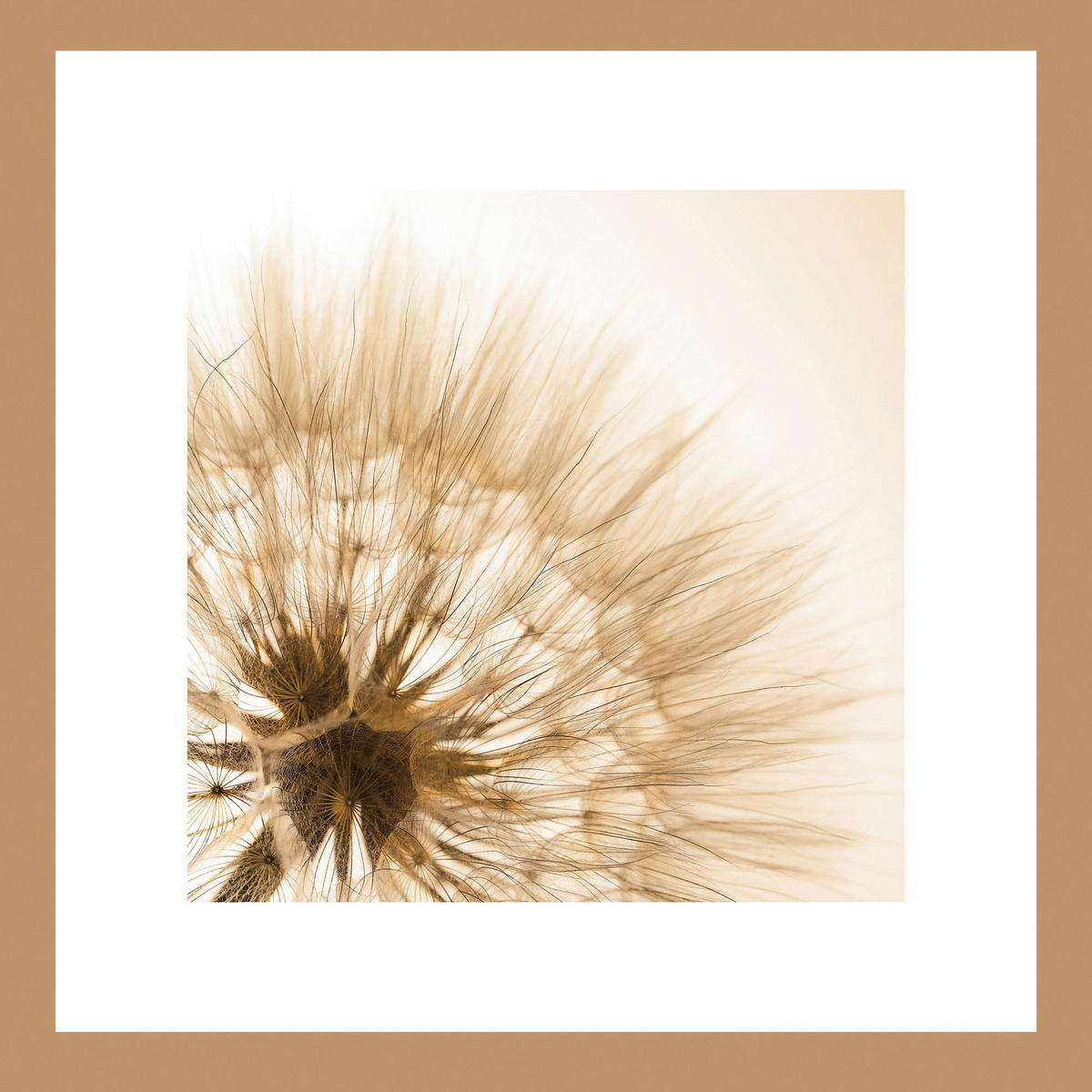 GLASBILD Pflanzen  - Naturfarben, Natur, Glas (30/30/1,40cm) - Euroart