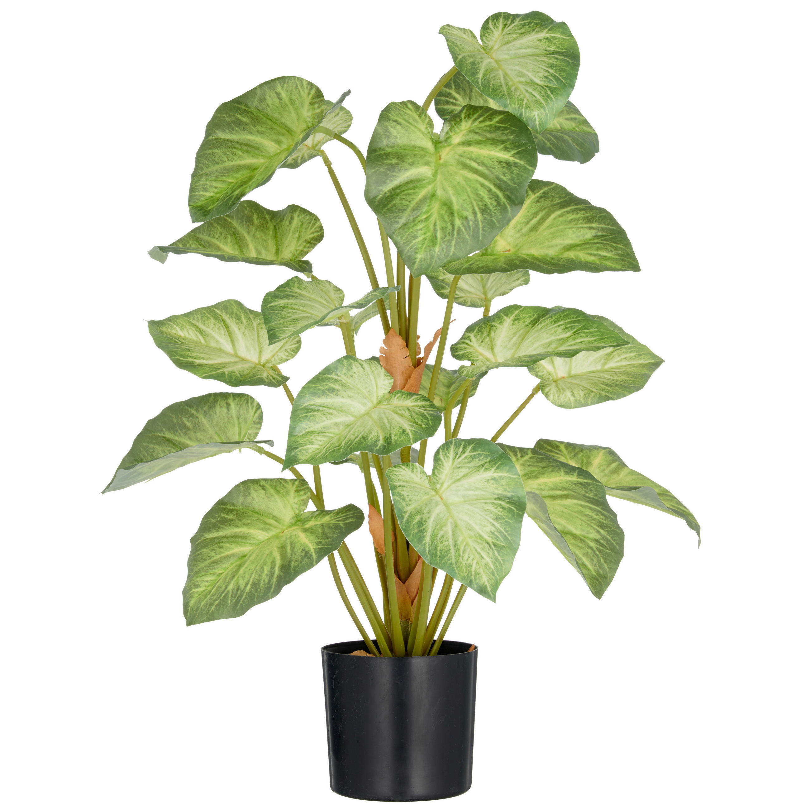 KUNSTPFLANZE 65 cm  - Schwarz/Braun, Basics, Kunststoff (65cm) - P & B