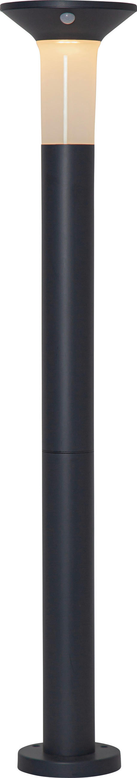 SOLARLEUCHTE  - Graphitfarben/Weiß, Basics, Kunststoff (16/90cm) - Eglo