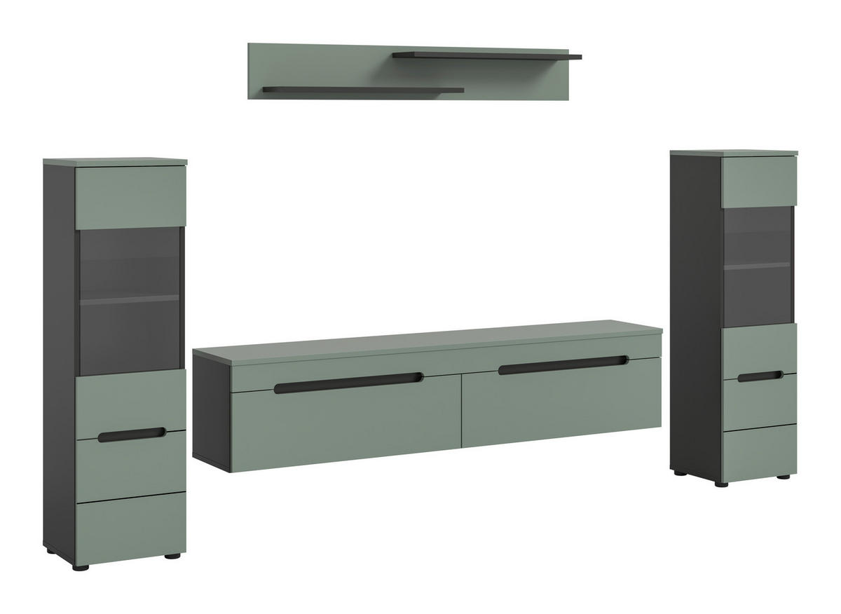 OBÝVACÍ STĚNA  - černá, Design, kompozitní dřevo/plast (272/141/33cm) - Livetastic