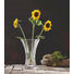 VASE - Klar, Basics, Glas (30cm) - Nachtmann