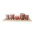 TEELICHTHALTER-SET 7-teilig - Rosa, Basics, Glas/Holz - Ambia Home TEELICHTHALTER-SET 7-teilig - Rosa, Basics, Glas/Holz - Ambia Home