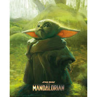 POSTER 40/50 cm  - Multicolor, LIFESTYLE, Papier (40/50cm) - Reinders!