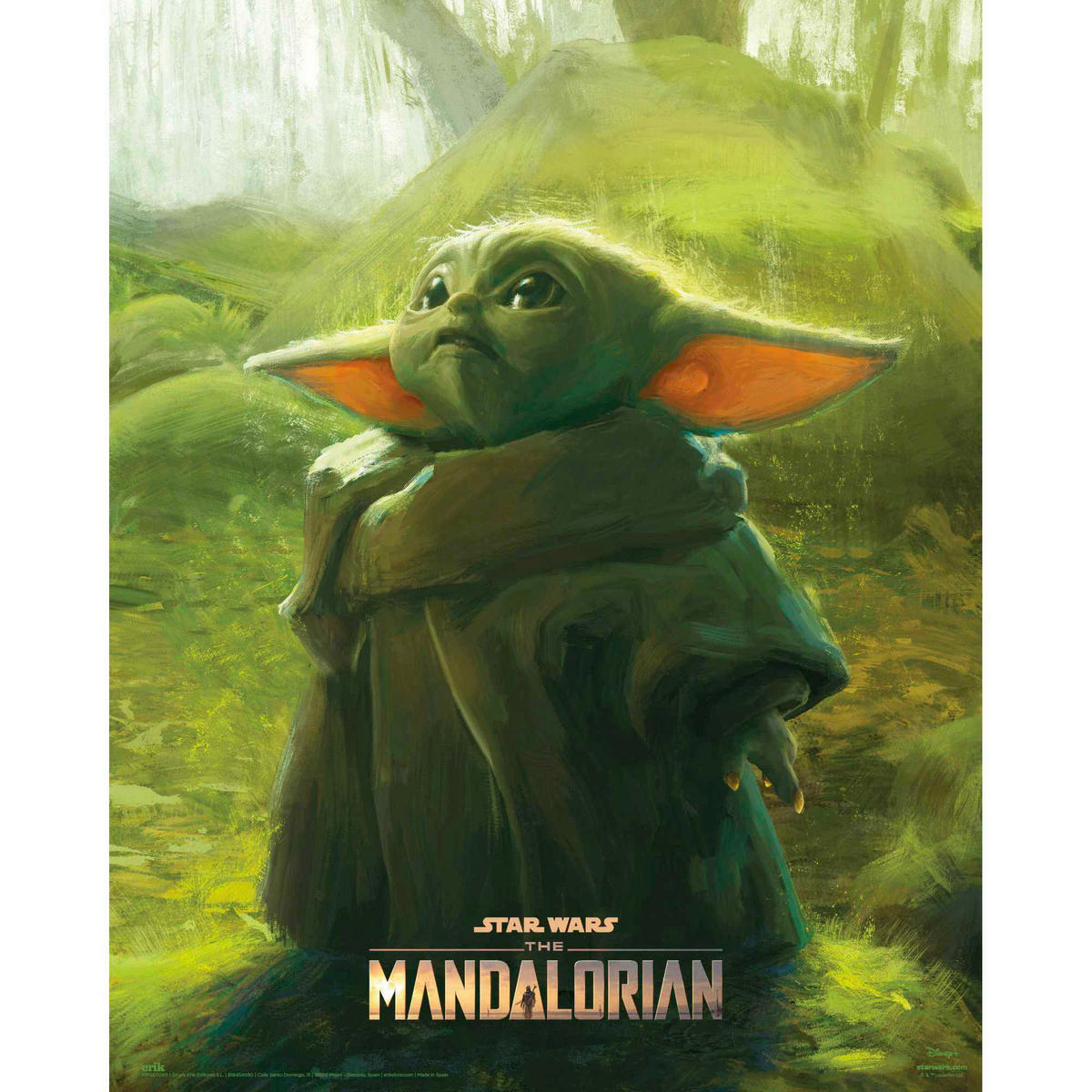 POSTER 40/50 cm  - Multicolor, LIFESTYLE, Papier (40/50cm) - Reinders!