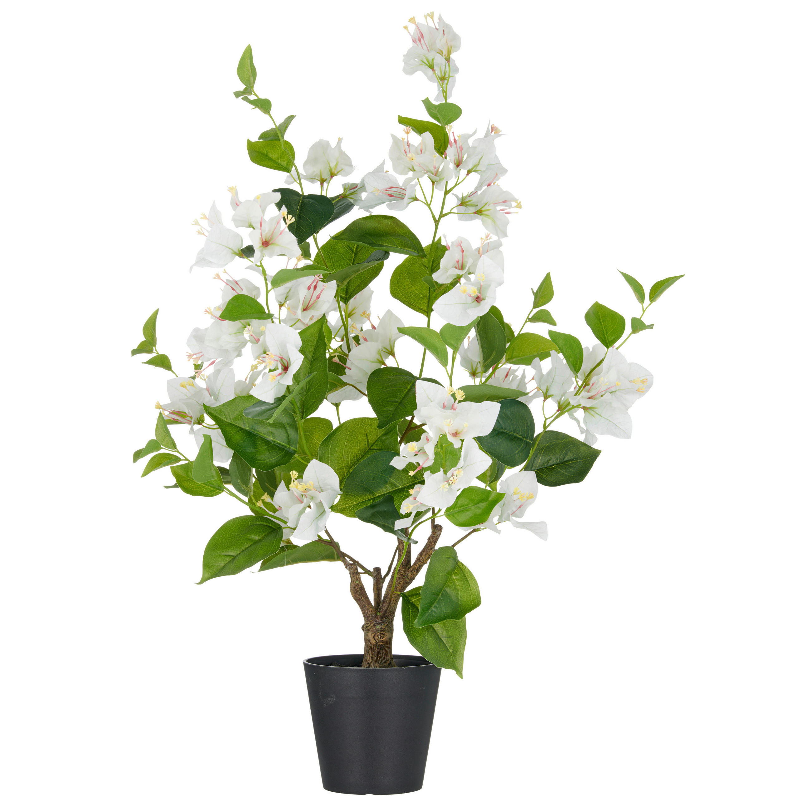 KUNSTPFLANZE Bougainvillea  - Schwarz/Weiß, Basics, Kunststoff (20/68/20cm) - P & B