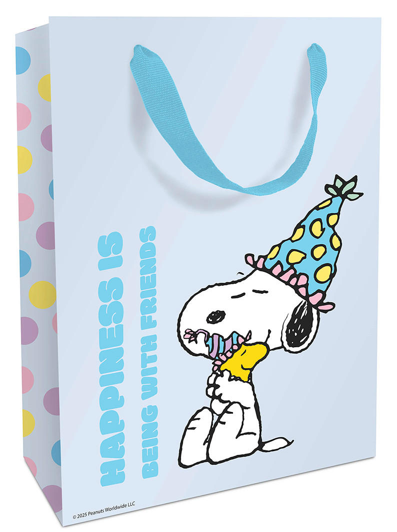 GESCHENKTASCHE   Weiß  - Weiß, Basics, Karton (26/36/13cm)