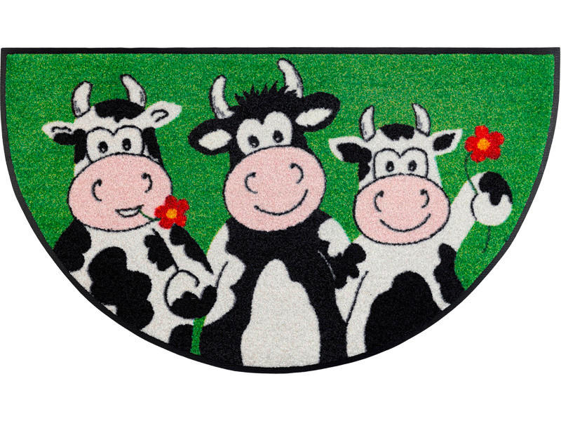 COVORAȘ DE INTRARE 50/85 cm
