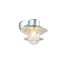 AUSSENWANDLEUCHTE Ruvuma 23.5/22/26 cm  - Klar/Zinkfarben, KONVENTIONELL, Glas/Metall (23.5/22/26cm) - Trio Leuchten