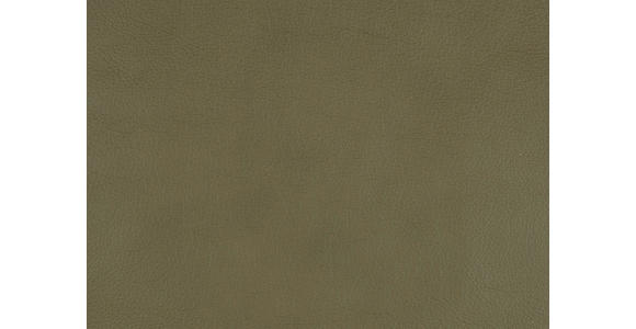 RELAXSESSEL in Leder Grün  - Edelstahlfarben/Grün, Design, Leder/Metall (76/119/86cm) - Dieter Knoll