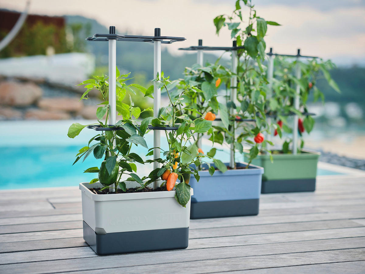 PFLANZENTOPF  CHARLY CHILI  - Hellgrau/Grau, Basics, Kunststoff (34,5/69/27,5cm) - Gusta Garden