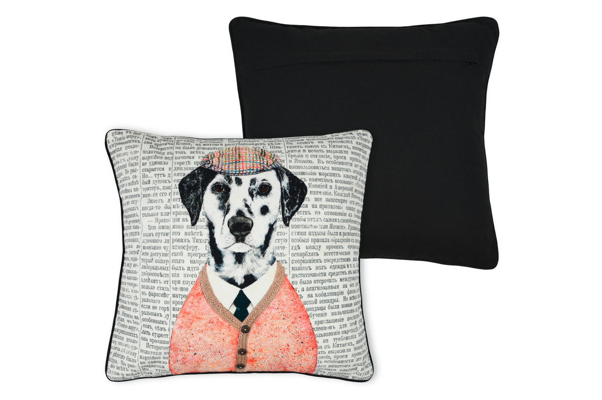 OKRASNA BLAZINA  PETER   45/45 cm          - večbarvno, Konvencionalno, tekstil (45/45cm)
