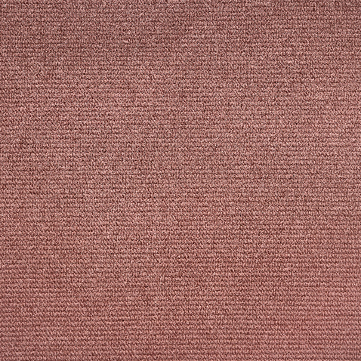 STUHL   Samt  Chromfarben, Altrosa  - Chromfarben/Altrosa, Design, Textil/Metall (54/80/59cm) - Novel