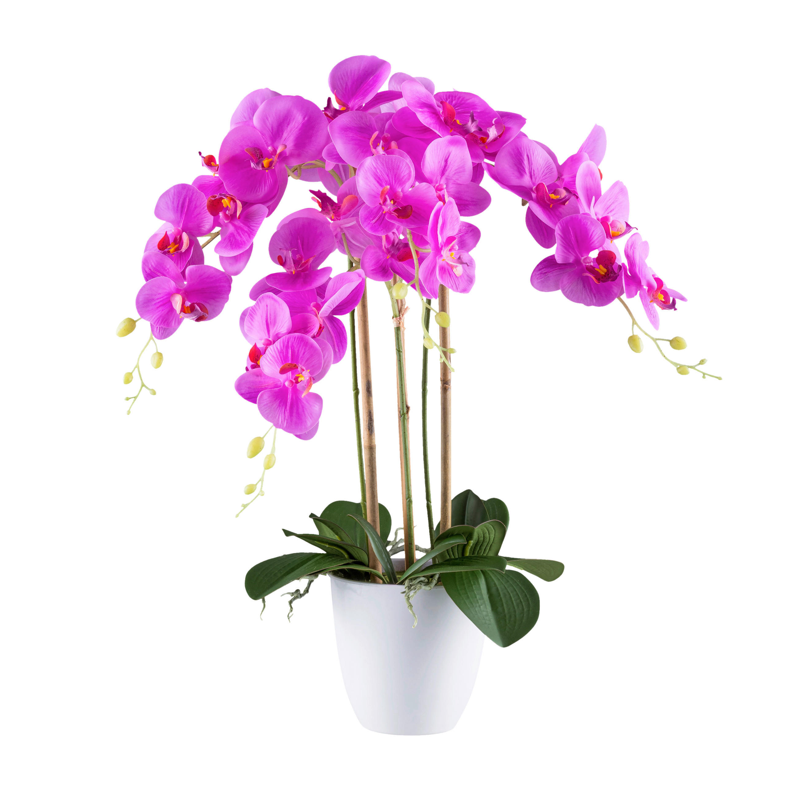KUNSTPFLANZE Orchidee 62 cm  - Pink/Weiß, Design, Kunststoff (62cm) - P & B