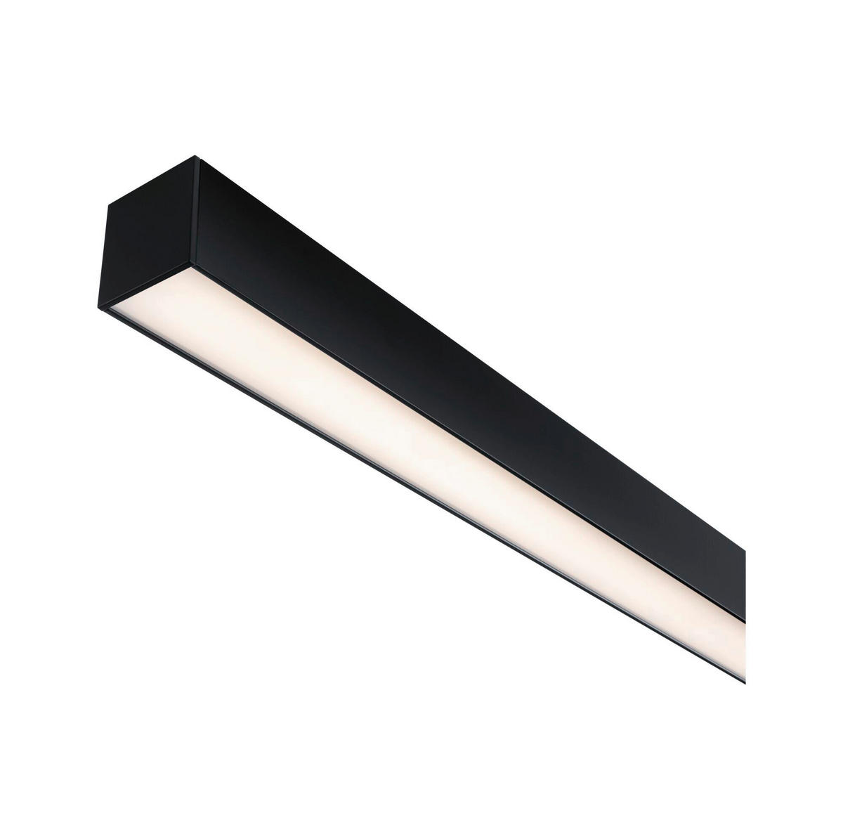SCHIENENSYSTEM-STABLEUCHTE - Basics (5/4/4cm) - Paulmann