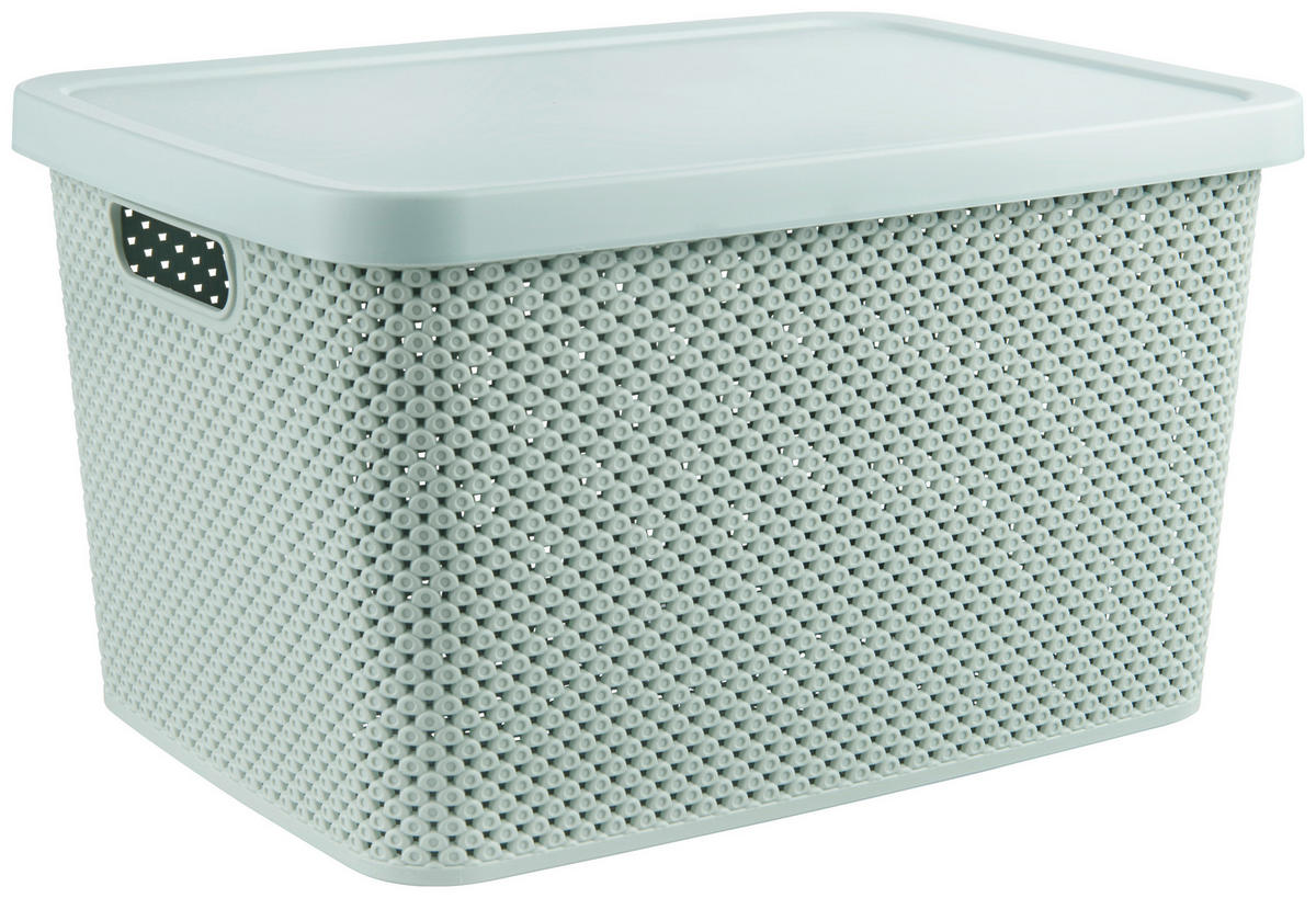 FÖRVARINGSLÅDA 38,5/28/22 cm   - grön, Basics, plast (38,5/28/22cm) - Homeware
