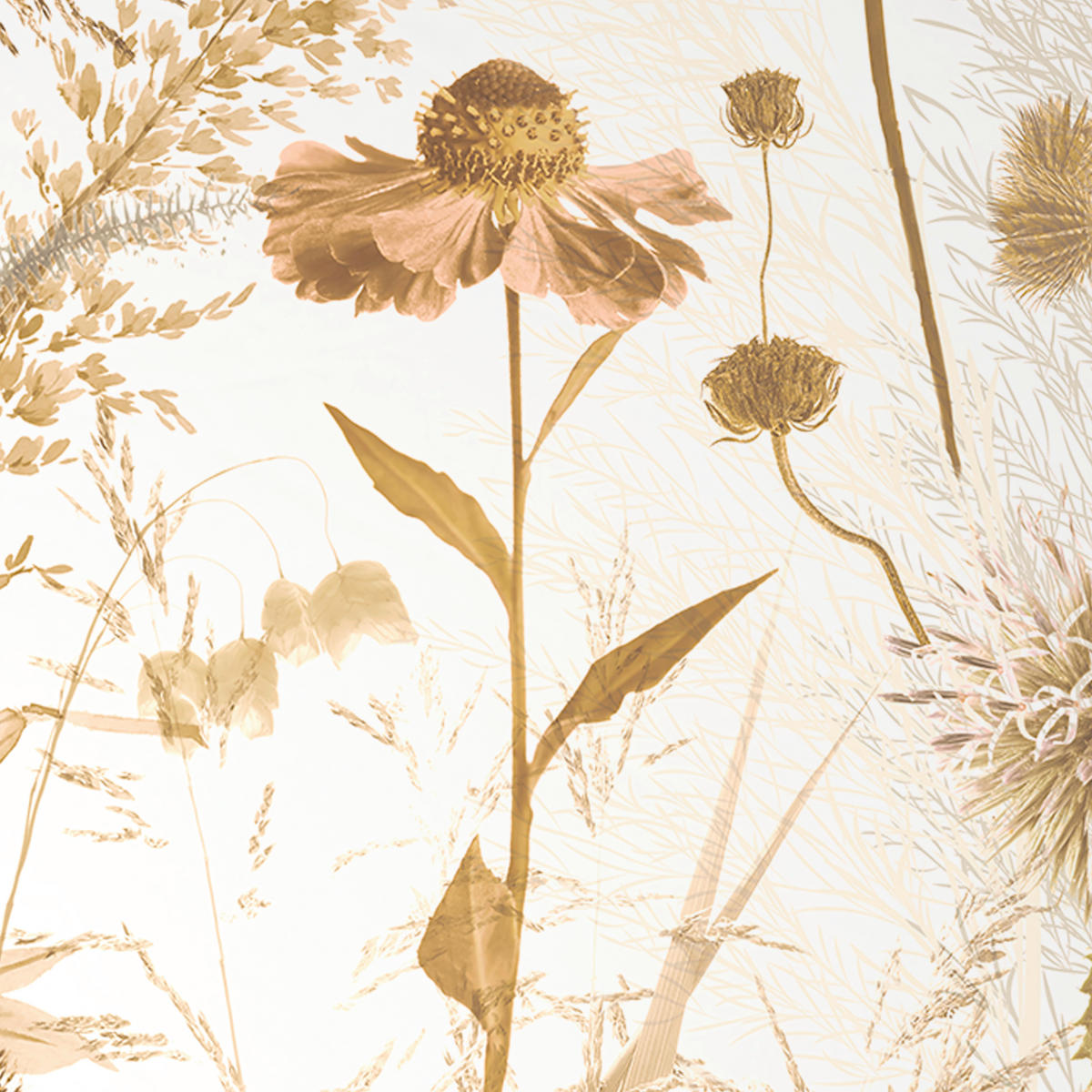 WENDEBETTWÄSCHE Celene Satin 140/200 cm  - Naturfarben, KONVENTIONELL, Textil (140/200cm) - Novel