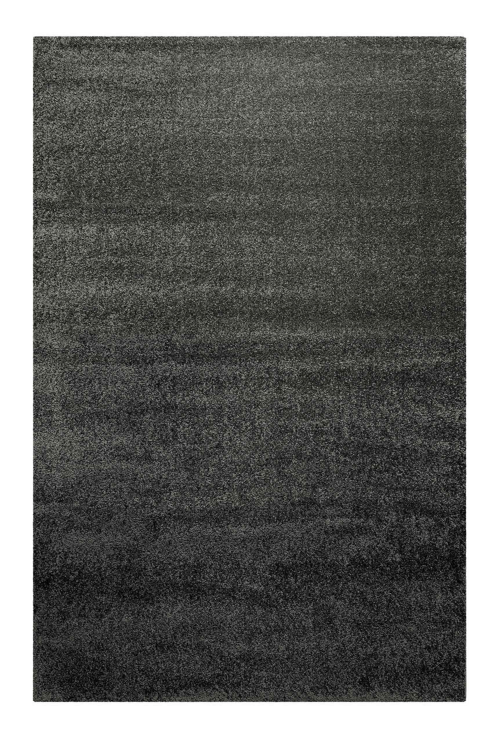 WEBTEPPICH Wohnzimmer 200/290 cm Lido Anthrazit rechteckig  - Anthrazit, KONVENTIONELL, Textil (200/290cm) - WECON HOME