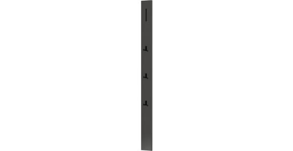GARDEROBENPANEEL 15/165/5 cm  - Anthrazit/Schwarz, Design, Holzwerkstoff/Metall (15/165/5cm) - Dieter Knoll