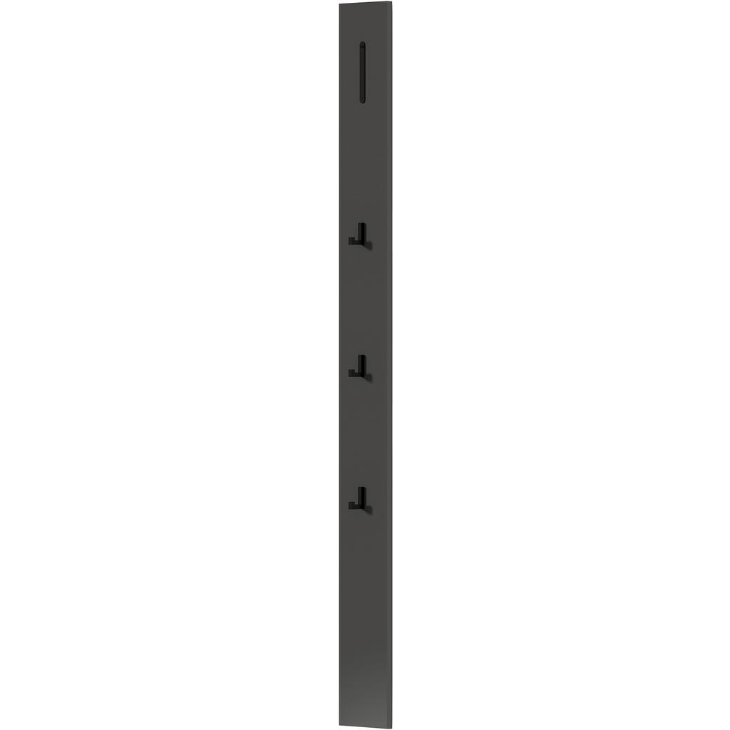 Thumbnail - Dieter Knoll Garderobenpaneel, Anthrazit, Schwarz, Metall, Holzwerkstoff, 15x165x5 cm, Aufhängemöglichkeit, Garderobe, G...