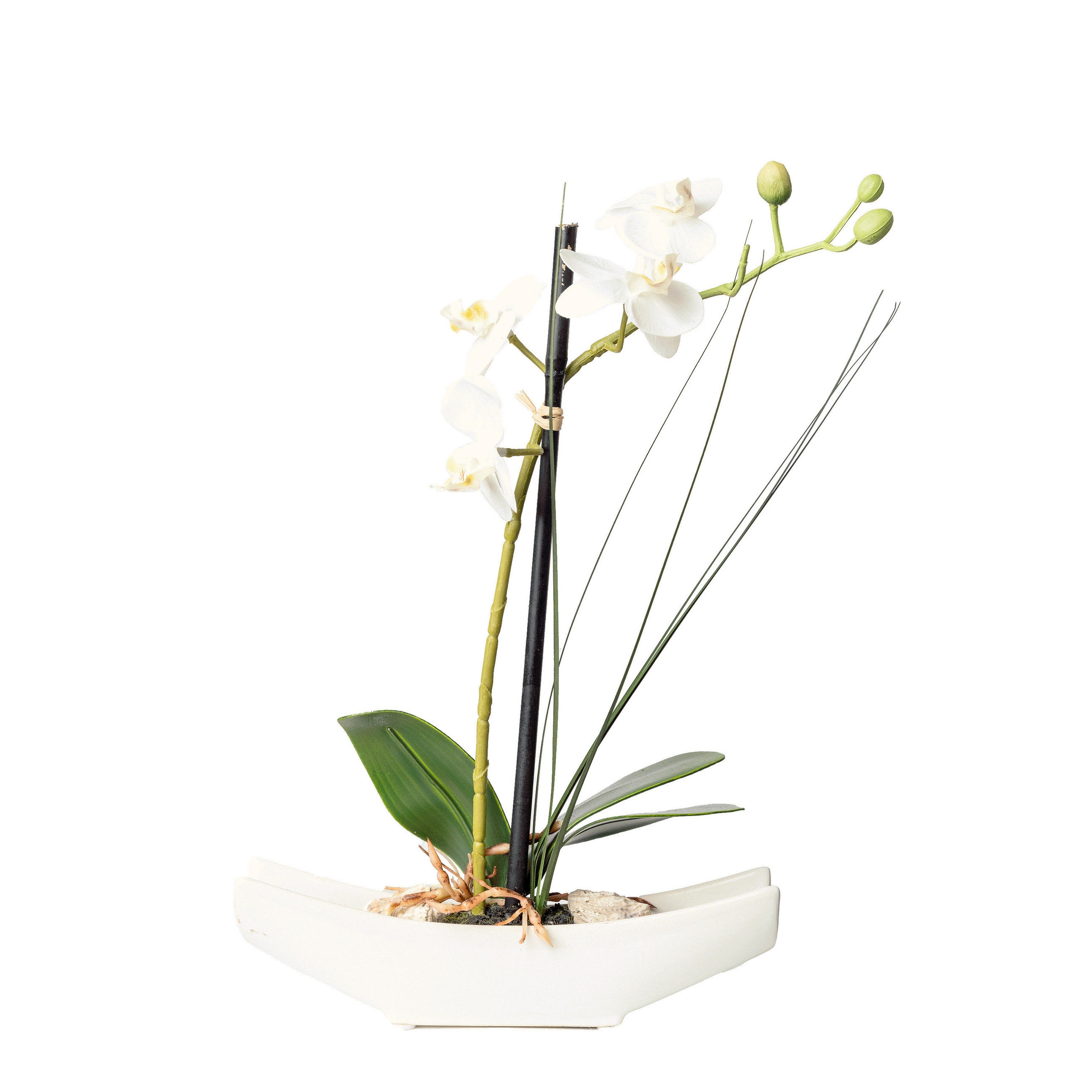 KUNSTBLUME Orchidee  - Creme/Weiß, Basics, Kunststoff (ca 30cm)
