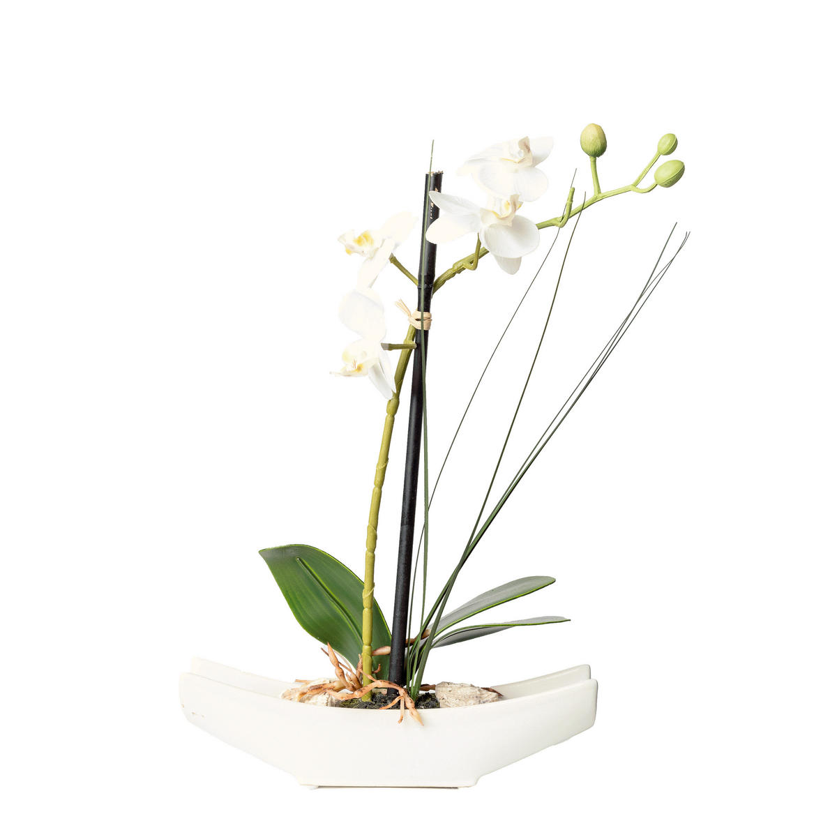 KUNSTBLUME Orchidee  - Creme/Weiß, Basics, Kunststoff (ca 30cm)